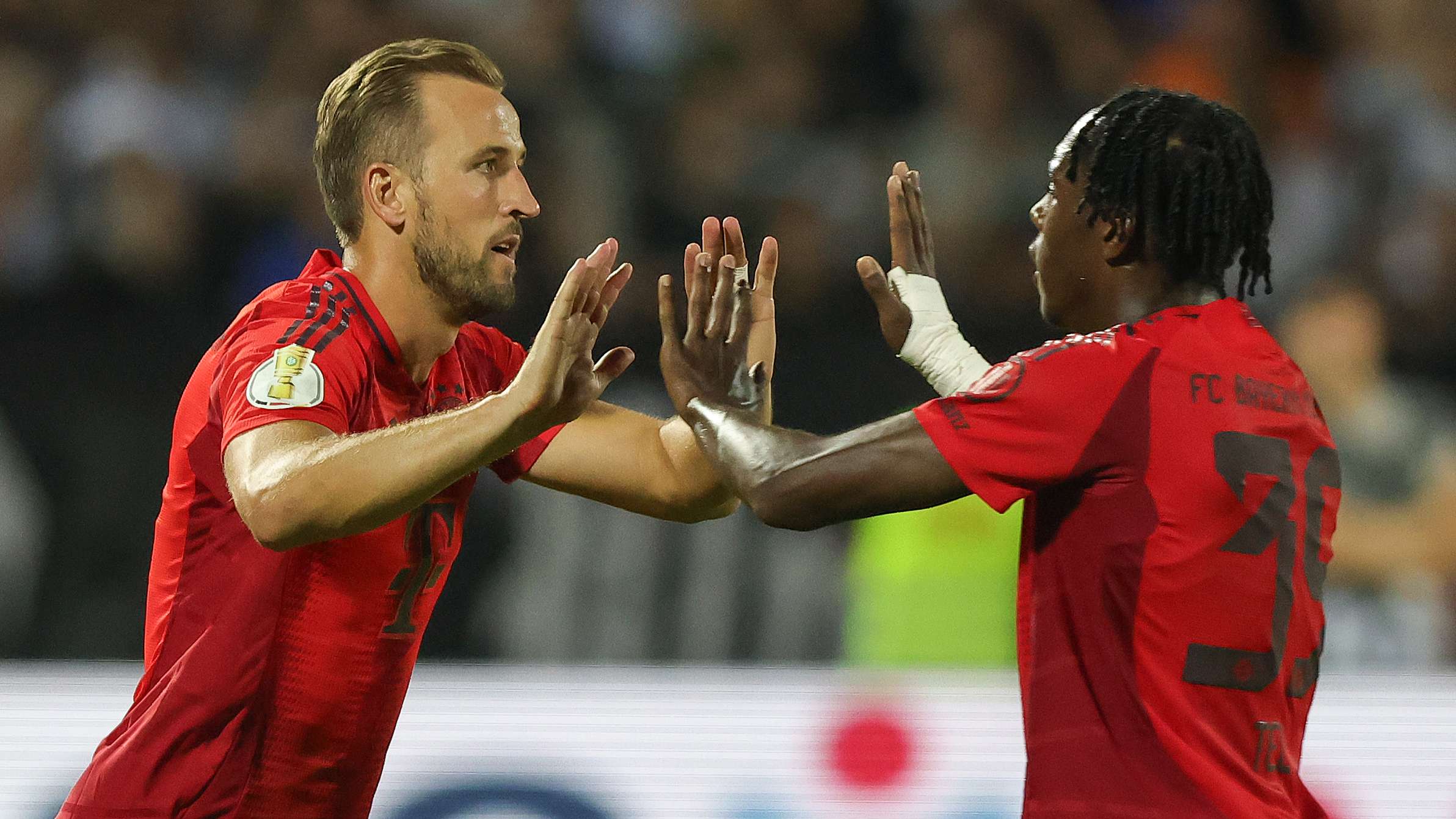 年轻球迷 年轻球迷