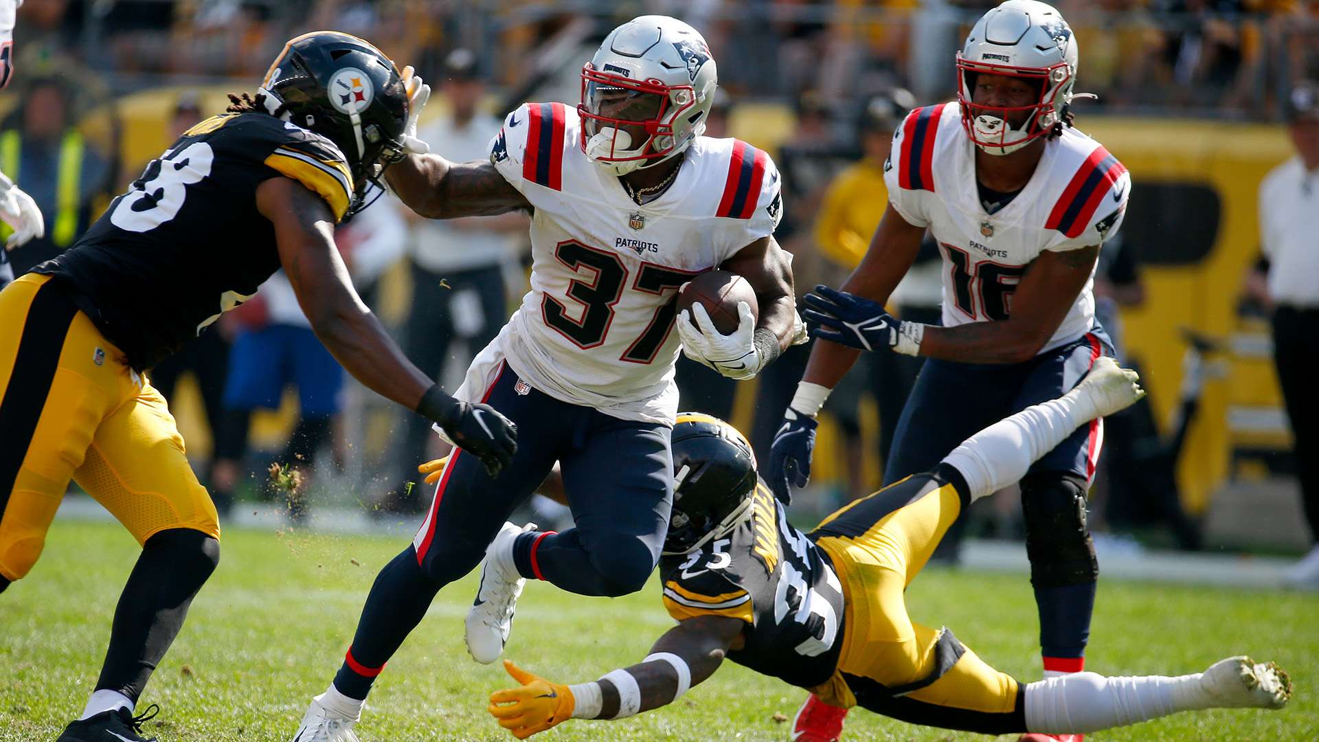 蜂作为角色 蜂作为角色