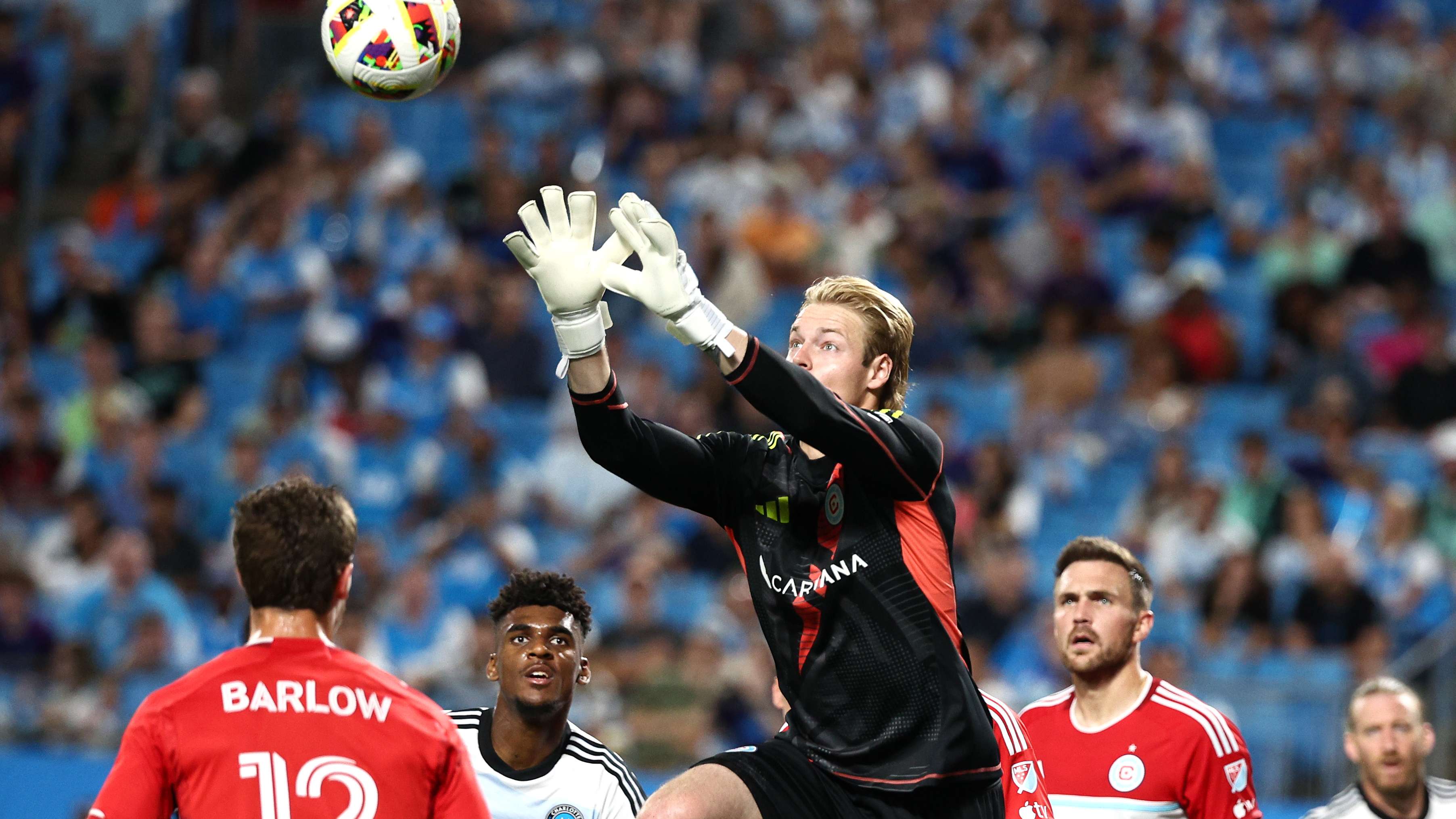 优于澳大利 优于澳大利